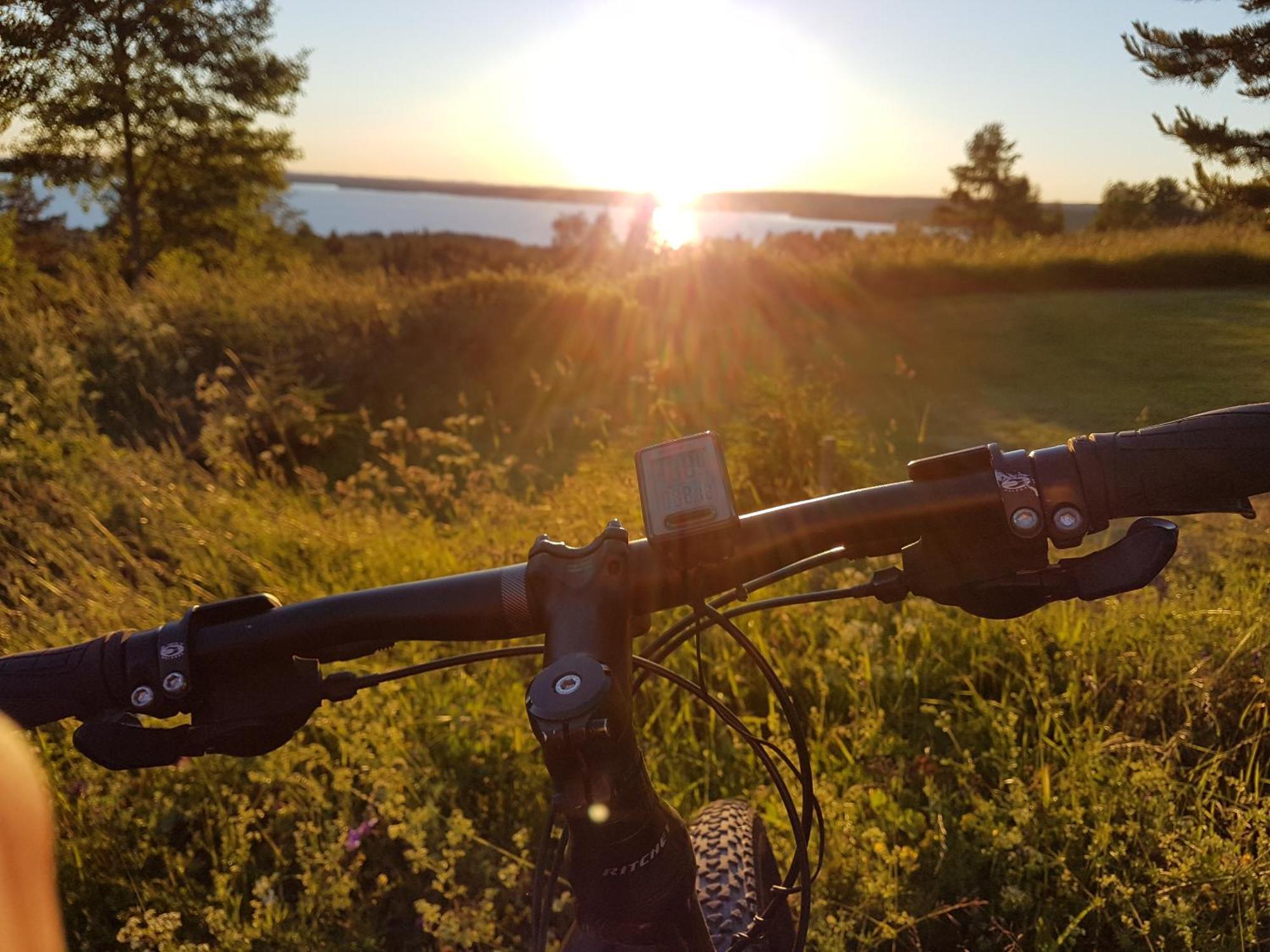 Lustigsgarden Boutique Hotel Rättvik Екстериор снимка